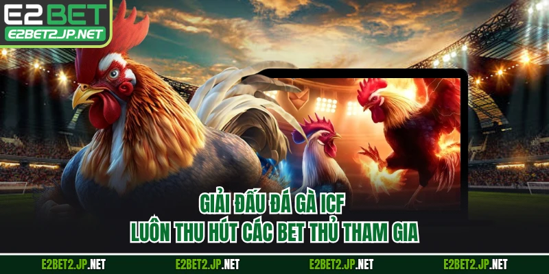 Giải đấu đá gà ICF luôn thu hút các bet thủ tham gia