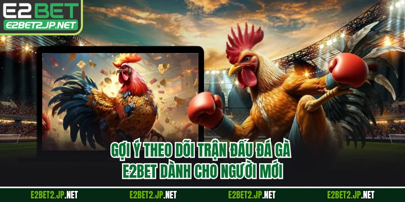 Gợi ý theo dõi trận đấu đá gà E2BET dành cho người mới