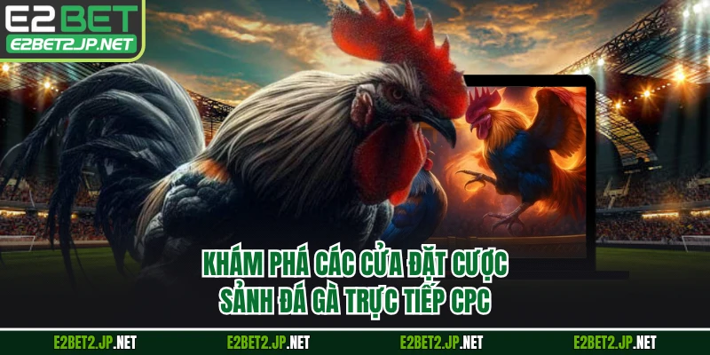 Khám phá các cửa đặt cược sảnh đá gà trực tiếp CPC