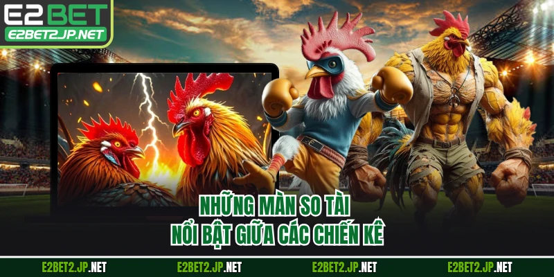 Những màn so tài nổi bật giữa các chiến kê