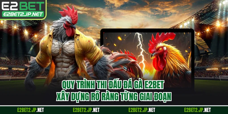 Quy trình thi đấu đá gà E2BET xây dựng rõ ràng từng giai đoạn
