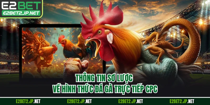 Thông tin sơ lược về hình thức đá gà trực tiếp CPC