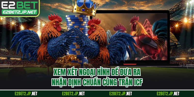 Xem xét ngoại hình để đưa ra nhận định chuẩn cùng trận ICF